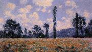 Claude Monet Field of Poppies Spain oil painting artist